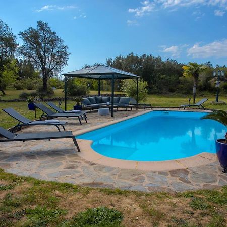 Villa Catalpa Avec Piscine Le Muy Exterior photo