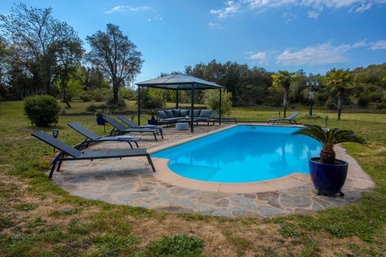 Villa Catalpa Avec Piscine Le Muy Exterior photo